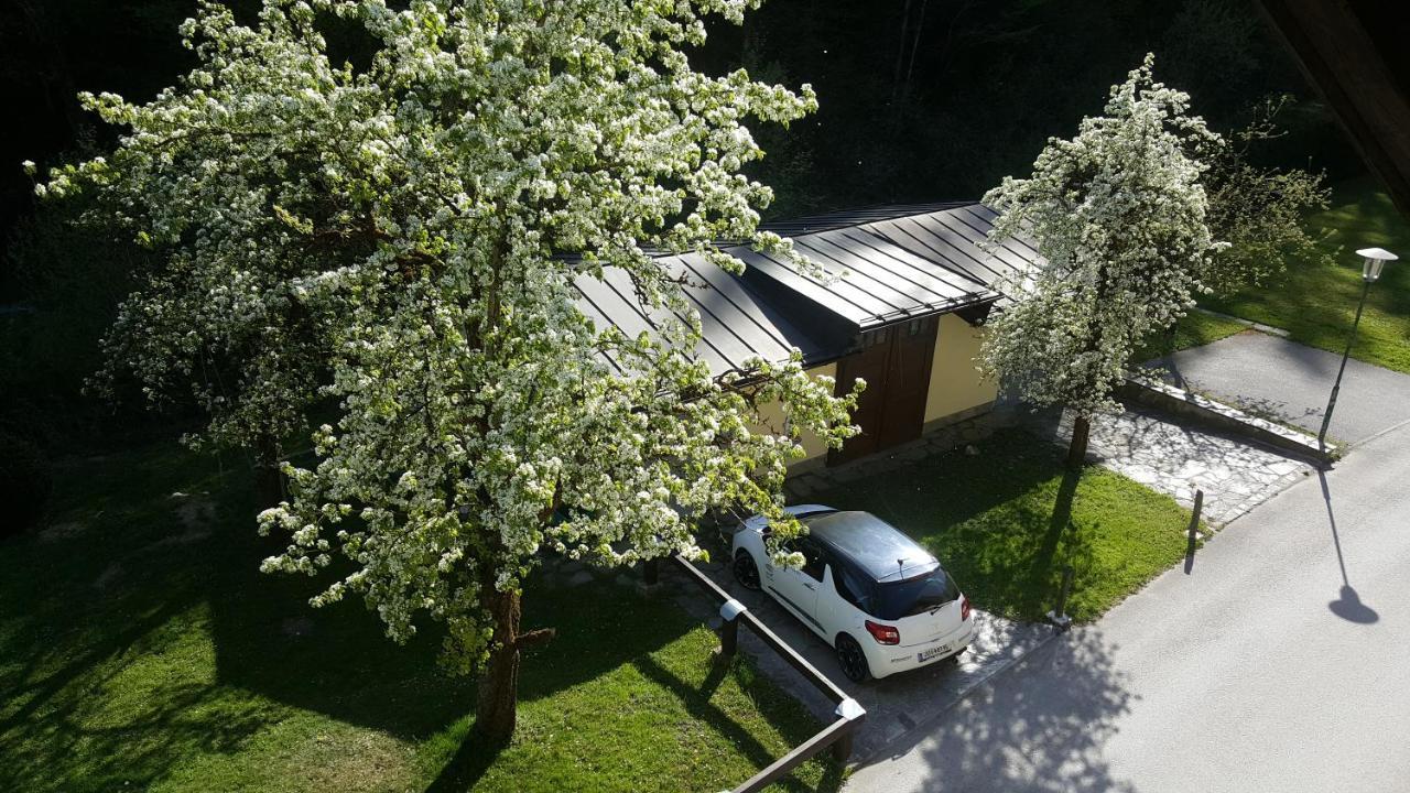 Imlau 51 Apartment Екстериор снимка